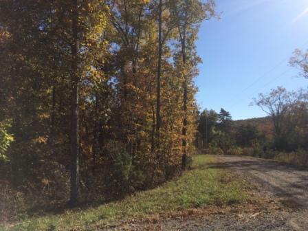 0 Forest Knoll Road, Unit 24 & 25 Dunlap, TN 37327 - Photo 9 of 18 9