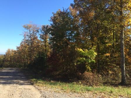 0 Forest Knoll Road, Unit 24 & 25 Dunlap, TN 37327 - Photo 10 of 18 10