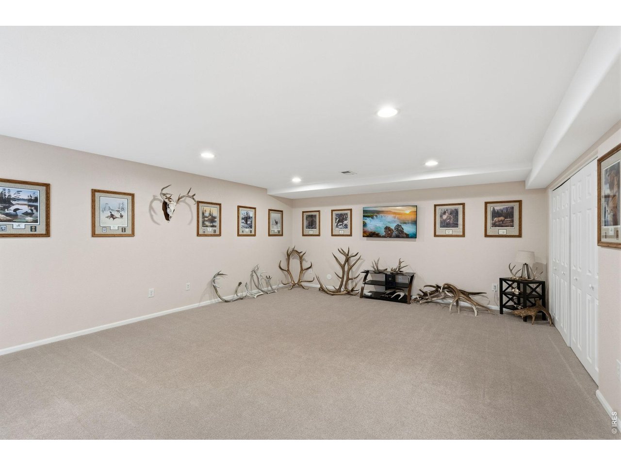 5133 Old Mill Road Fort Collins, CO 80528 - Photo 36 of 39 Bedroom lower level