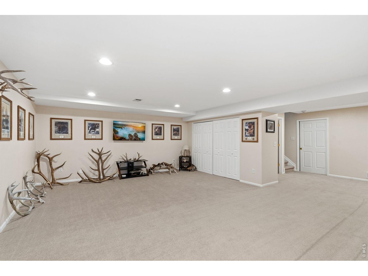 5133 Old Mill Road Fort Collins, CO 80528 - Photo 37 of 39 Bedroom lower level