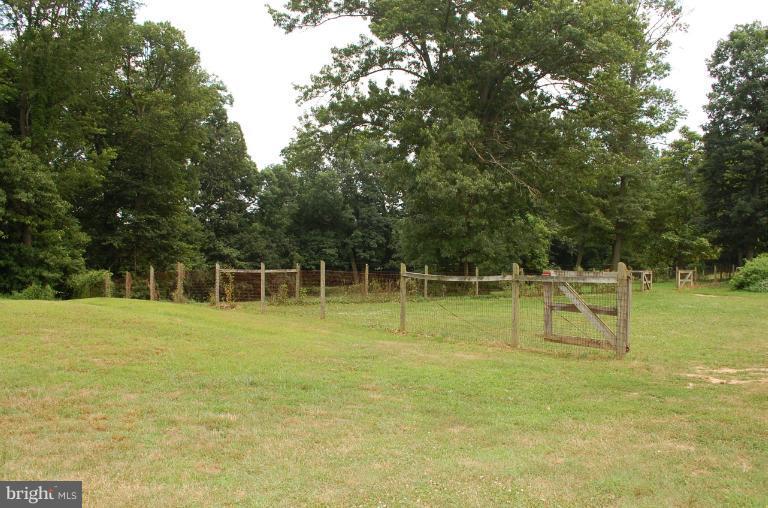 2945 Daisy Road Woodbine, MD 21797 - Photo 5 of 18 Fenced Pasture