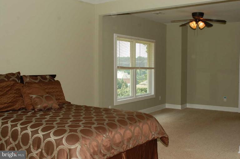 2945 Daisy Road Woodbine, MD 21797 - Photo 8 of 18 Master Bedroom