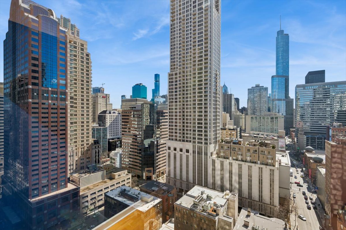 30 East Huron Street, Unit 2204 Chicago, IL 60611 - Photo 18 of 36 a city view with tall buildings