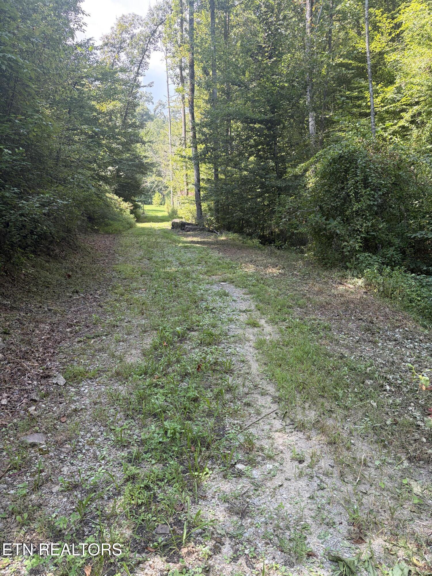 237 Foster Road Heiskell, TN 37754 - Photo 16 of 56 IMG_4207