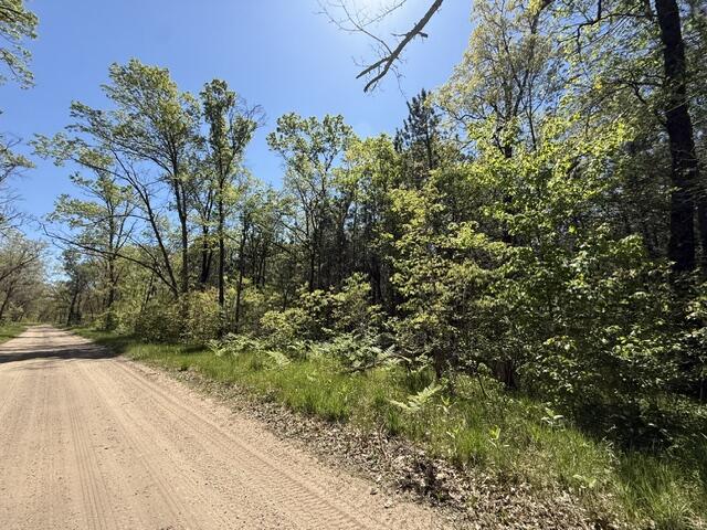 Parcel B West Usfs 5196 Baldwin, MI 49304 - Photo 5 of 6