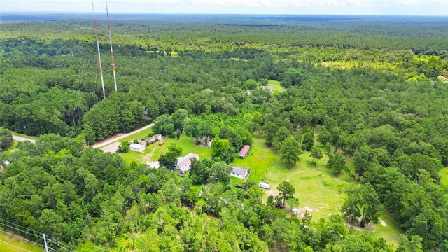 a view of a lush green forest with trees and some houses