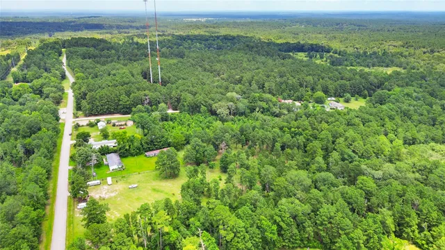 a view of a lush green forest with a lake