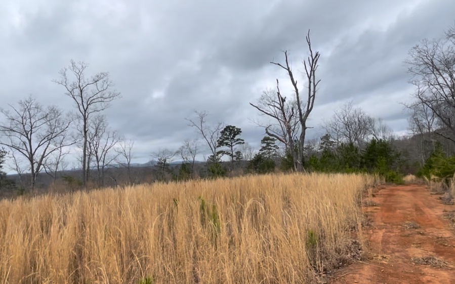 709 High Knoll Road Jasper, GA 30143 - Photo 14 of 46 Additional View