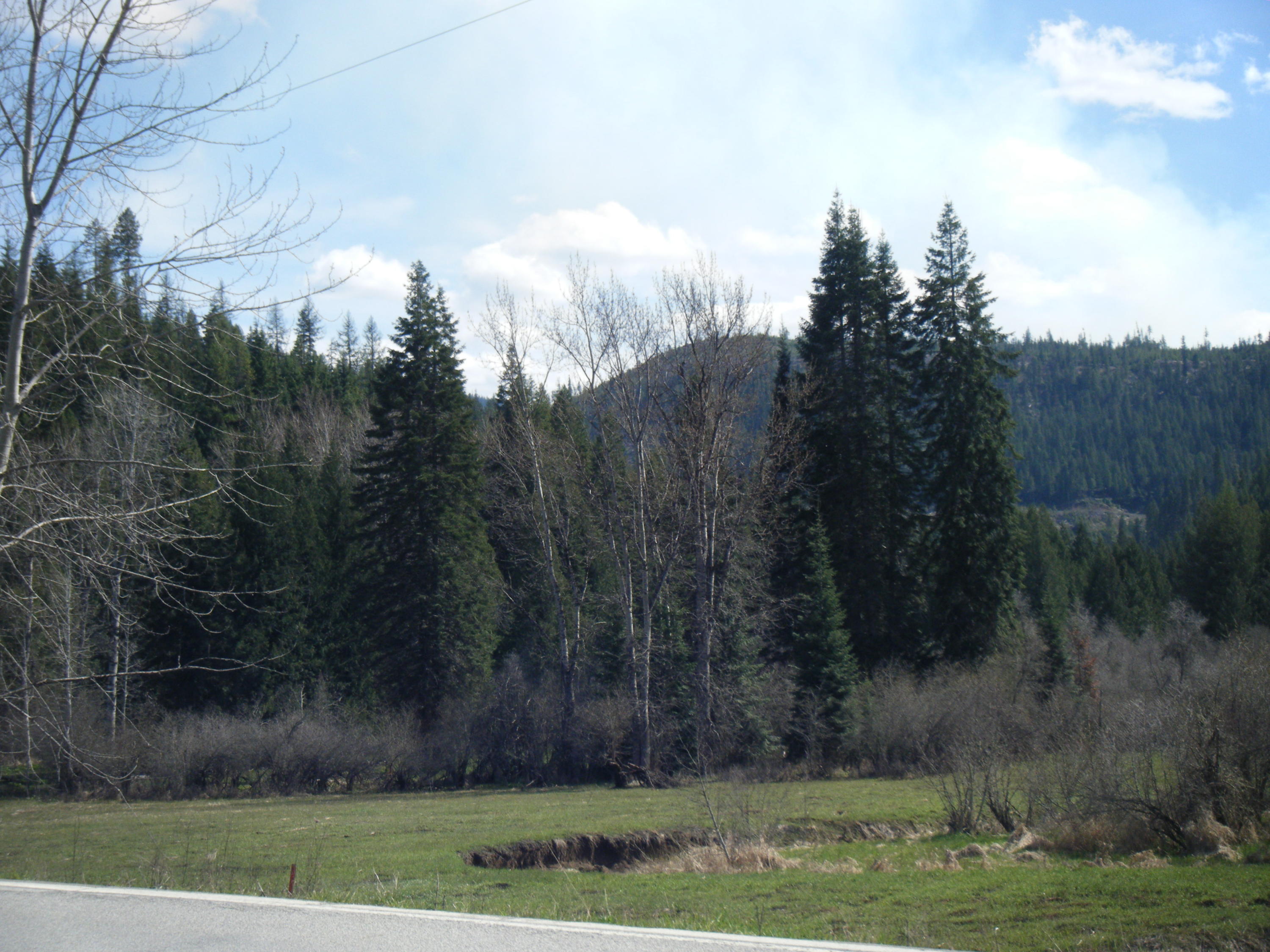 St Joe River Rd Street Calder, ID 83808 - Photo 1 of 1 Trees & meadow