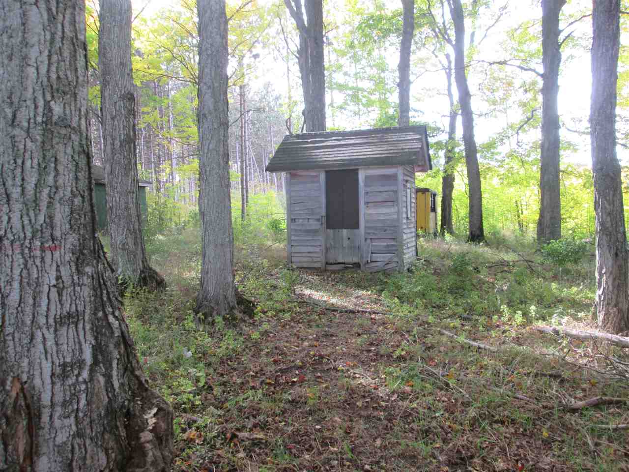 86 Golden Road Southeast Kalkaska, MI 49646 - Photo 9 of 24 1807687-8.JPG