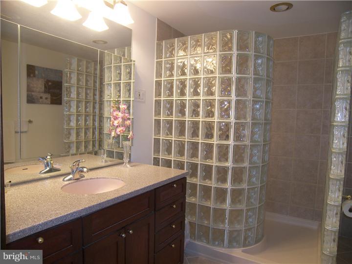 894 Macclesfield Road Buckingham, PA 18925 - Photo 16 of 25 Master Bathroom