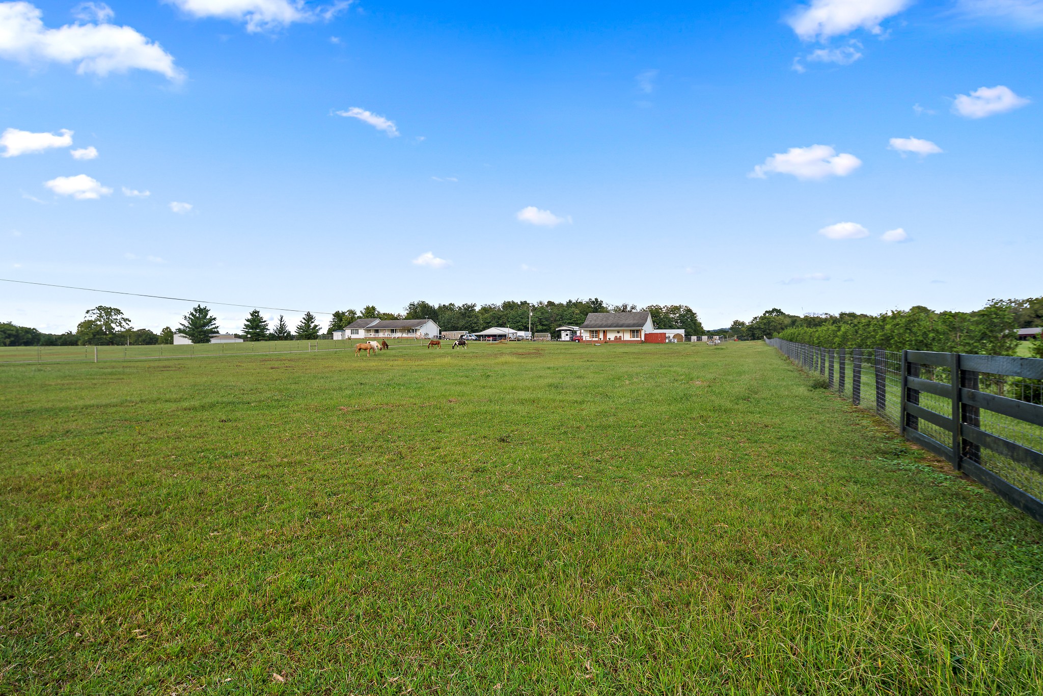 1311 Anderton Road Bell Buckle, TN 37020 - Photo 6 of 32 Gallery Image 6