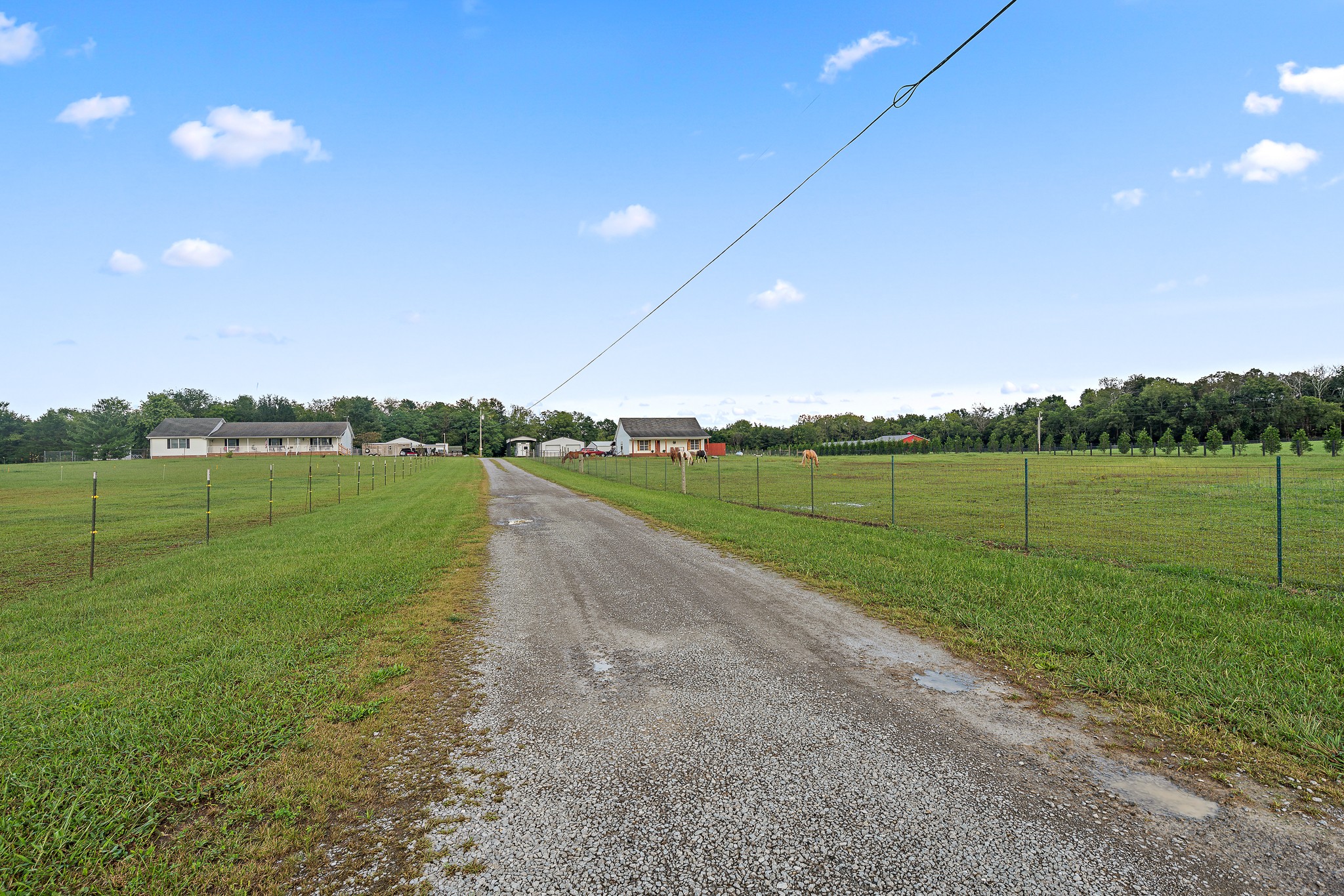 1311 Anderton Road Bell Buckle, TN 37020 - Photo 7 of 32 Gallery Image 7