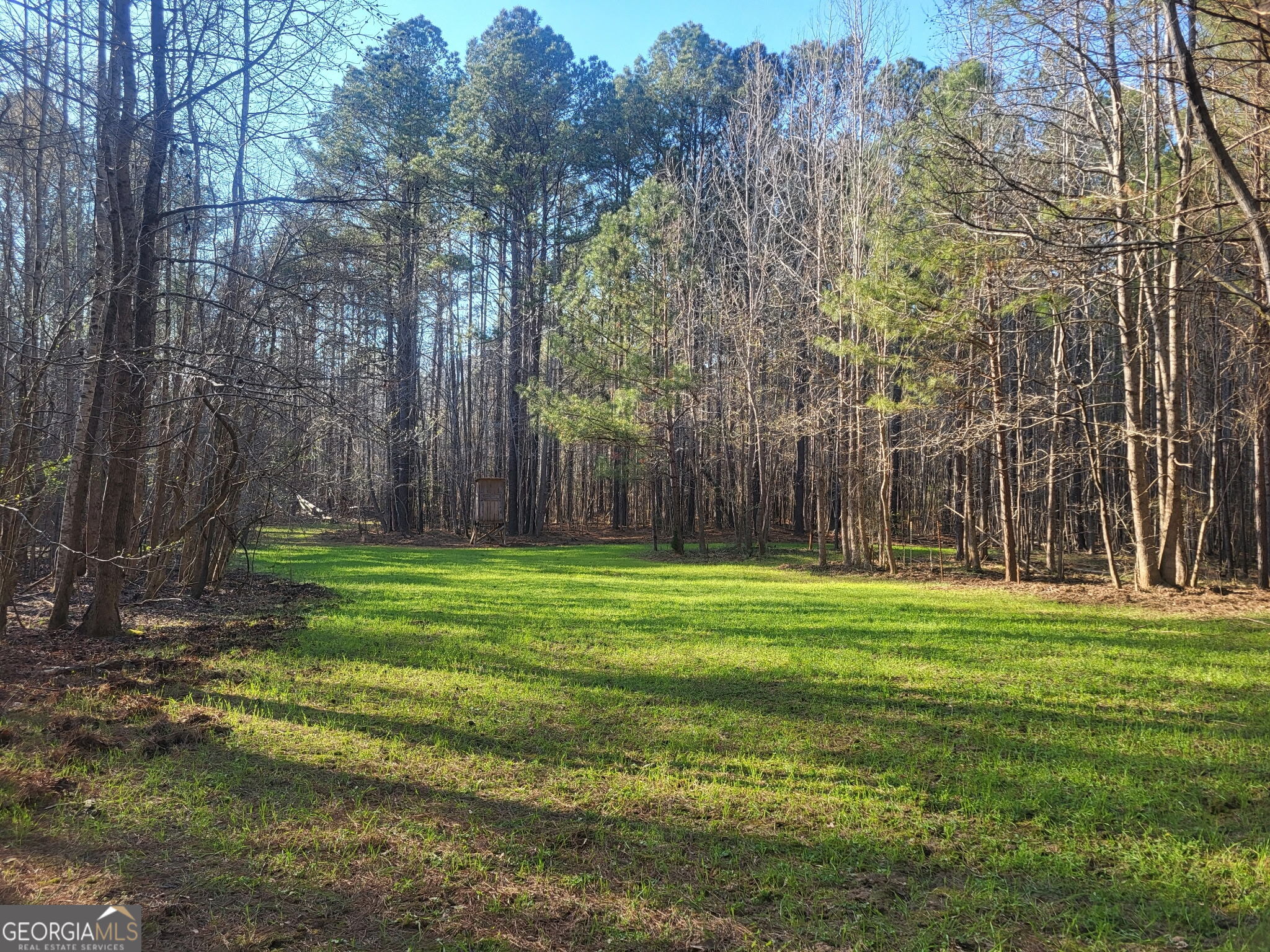 0 Court Ground Washington, GA 30673 - Photo 41 of 46 Gallery Image 41