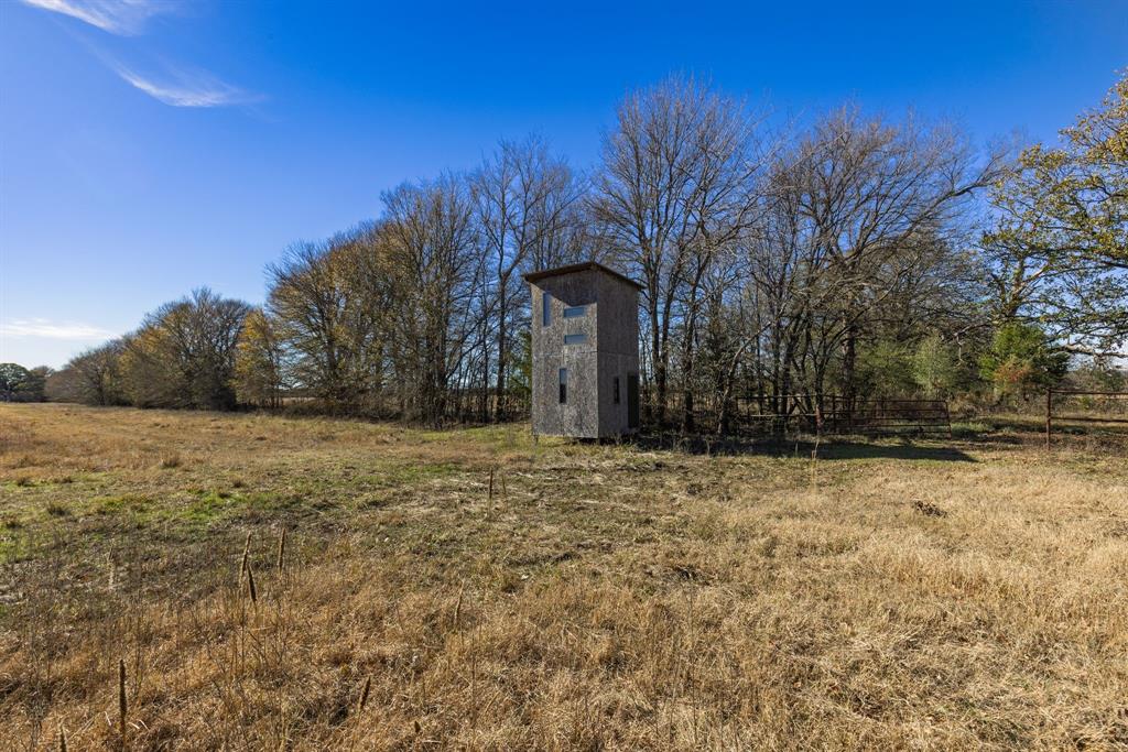 7581 Highway 24 Commerce, TX 75428 - Photo 37 of 40 a view of a yard with a house