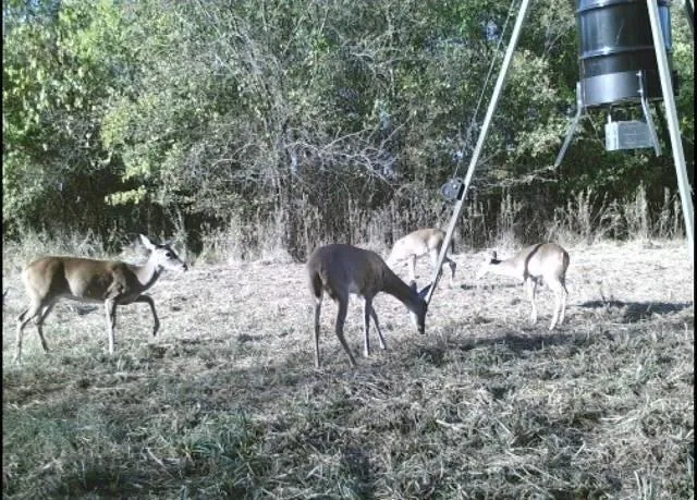 $1,795,000 | 7581 Highway 24, Commerce, TX 75428