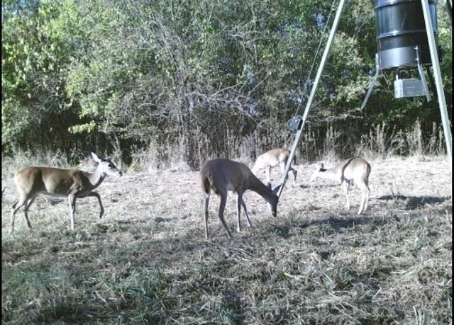 7581 Highway 24 Commerce, TX 75428 - Photo 40 of 40 a view of house with yard and entertaining space
