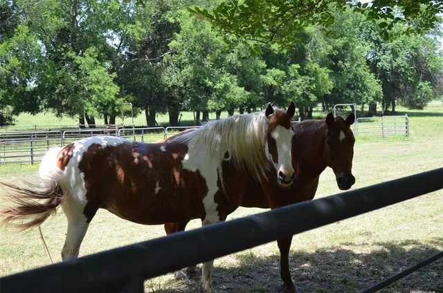 $1,795,000 | 7581 Highway 24, Commerce, TX 75428