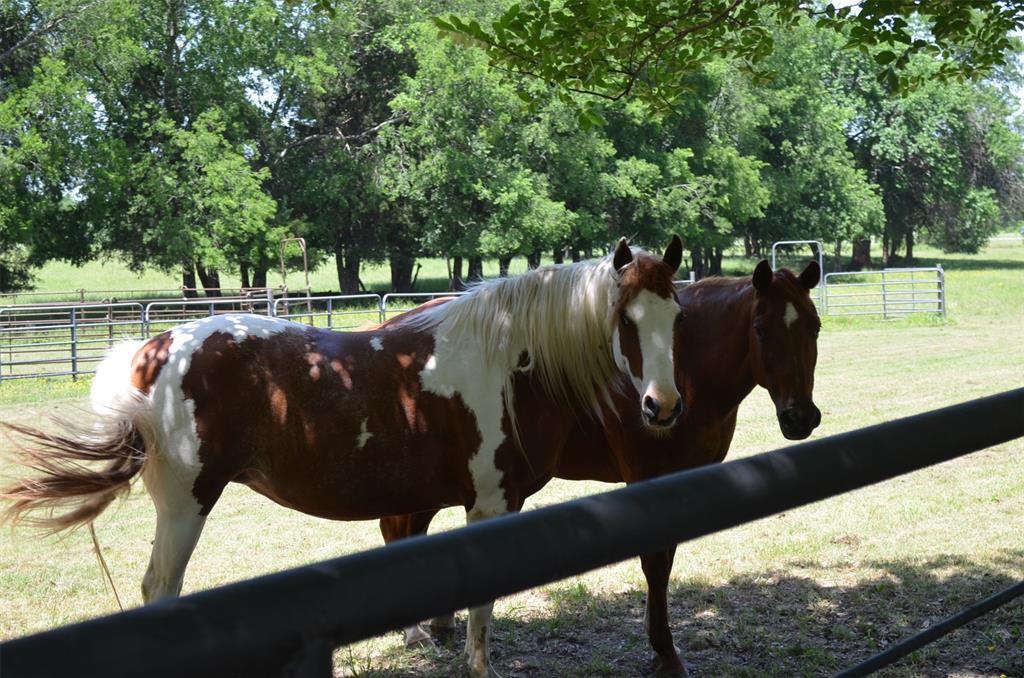 7581 Highway 24 Commerce, TX 75428 - Photo 8 of 40 a view of swimming pool from a balcony