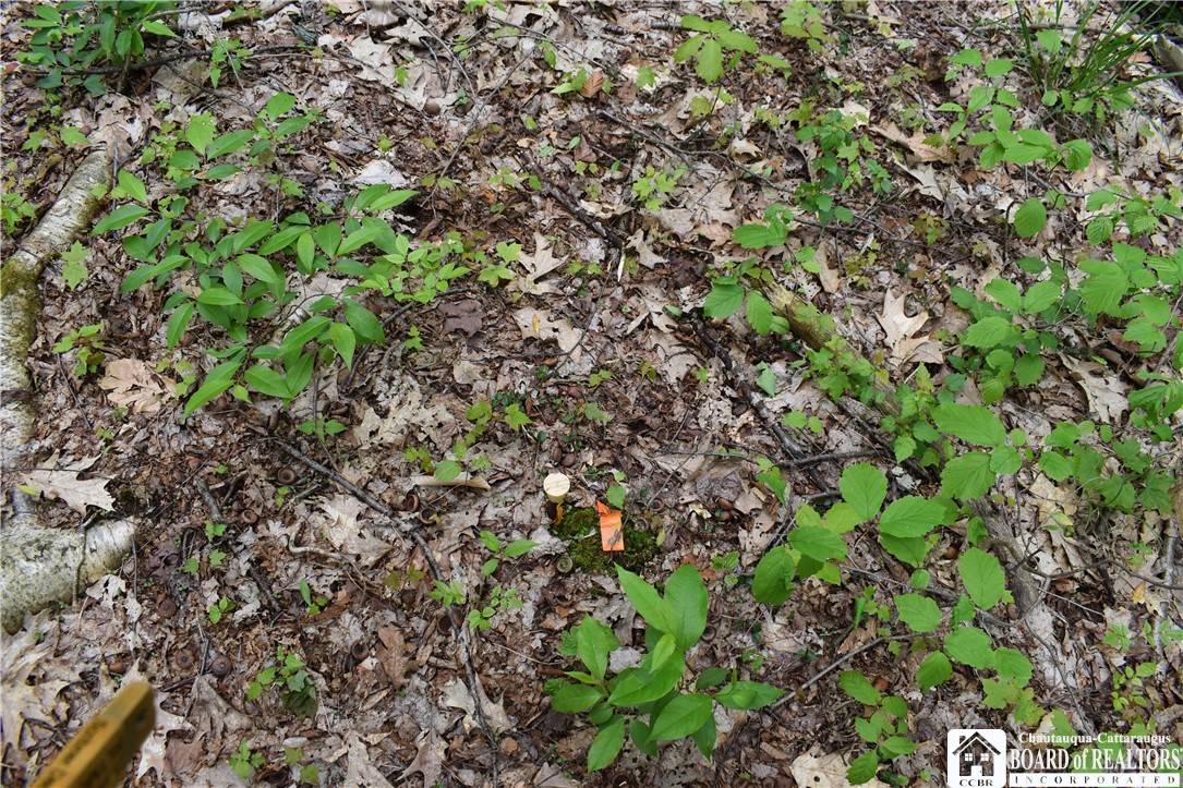 0 Harris Hollow Road Gerry, NY 14740 - Photo 20 of 23
