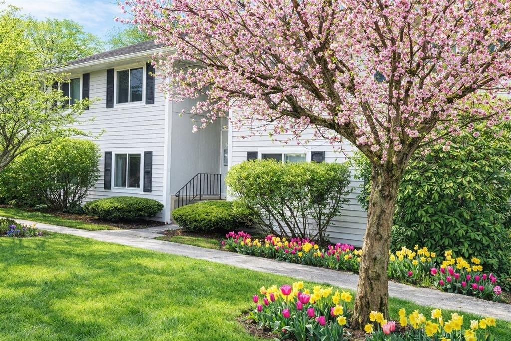 8 Beal's Cove Road, Unit K Hingham, MA 02043 - Photo 2 of 10 a front view of a house with a yard and potted plants