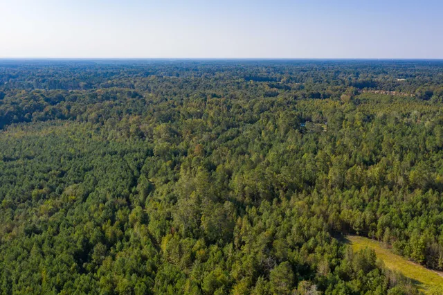 $200,000 | 0 Half Acre Court, Vance, SC 29163