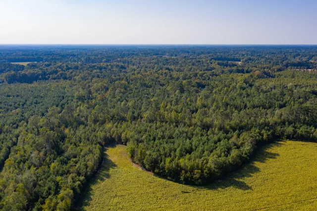 $200,000 | 0 Half Acre Court, Vance, SC 29163