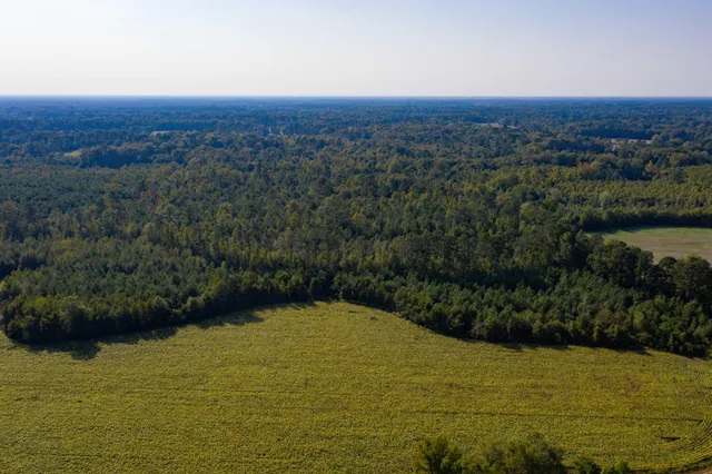 $200,000 | 0 Half Acre Court, Vance, SC 29163