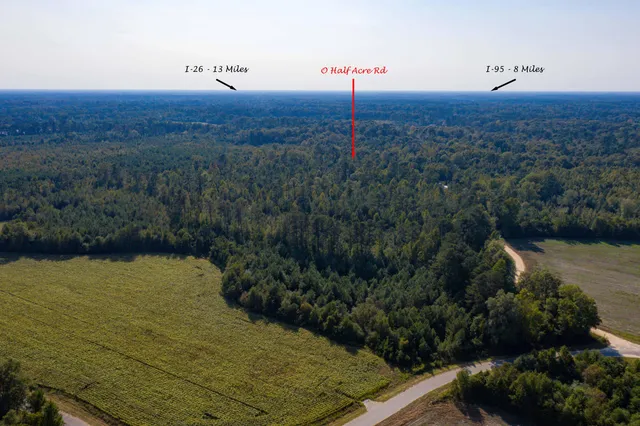 $200,000 | 0 Half Acre Court, Vance, SC 29163