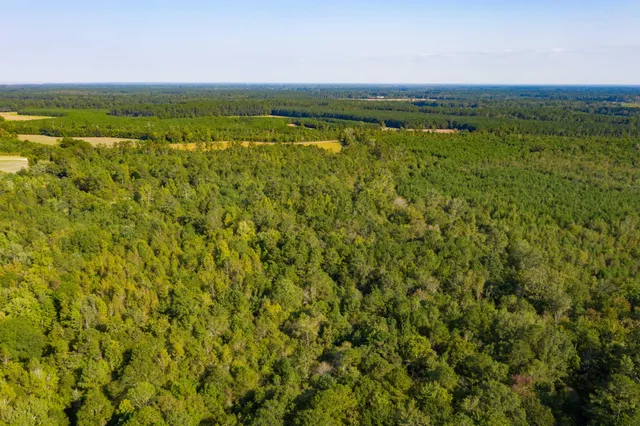 $200,000 | 0 Half Acre Court, Vance, SC 29163