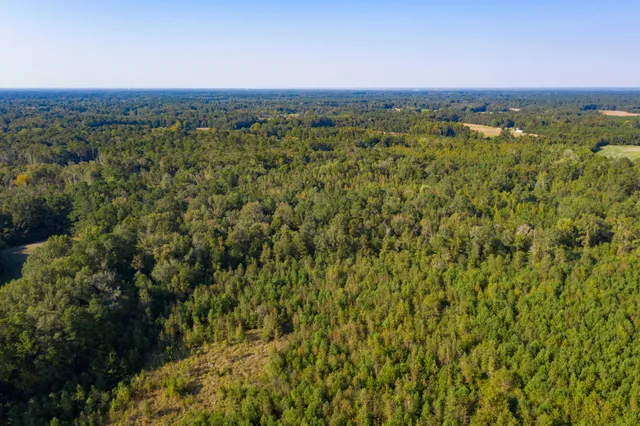 $200,000 | 0 Half Acre Court, Vance, SC 29163