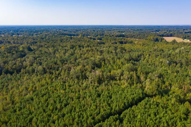 $200,000 | 0 Half Acre Court, Vance, SC 29163