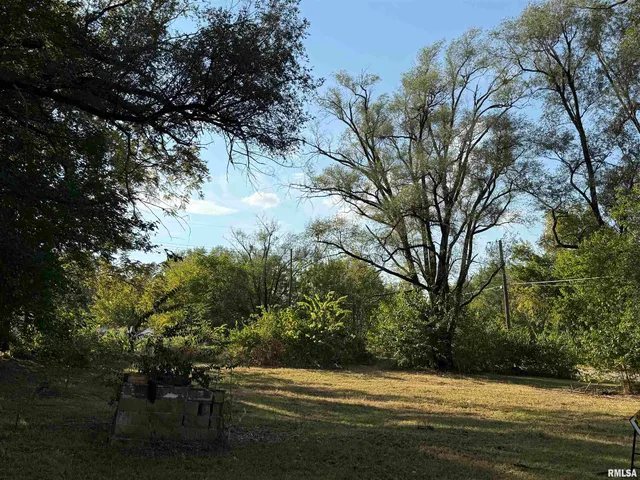 $16,000 | 702-704 Coleman Street, Havana, IL 62644