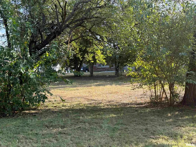 $16,000 | 702-704 Coleman Street, Havana, IL 62644