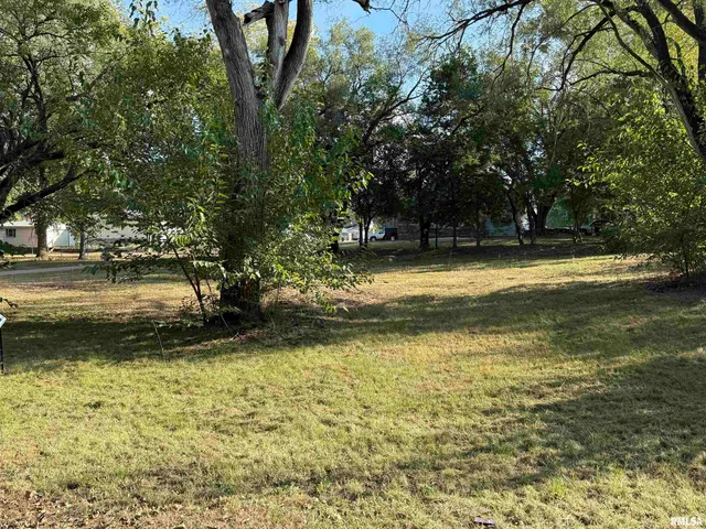 $16,000 | 702-704 Coleman Street, Havana, IL 62644