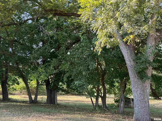 $16,000 | 702-704 Coleman Street, Havana, IL 62644