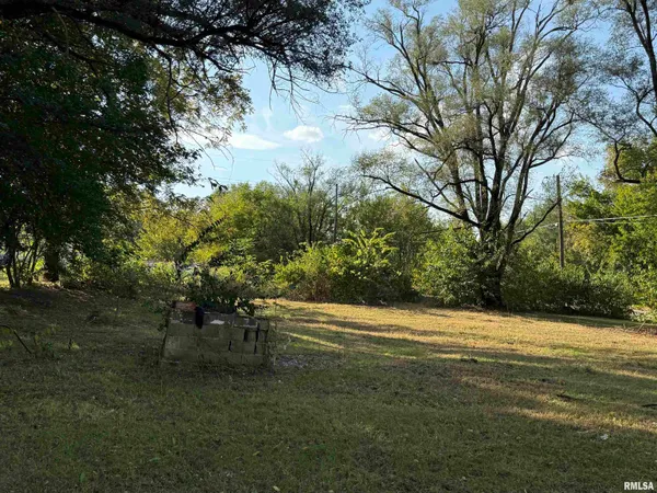 $16,000 | 702-704 Coleman Street, Havana, IL 62644