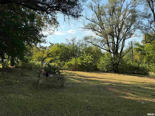 $16,000 | 702-704 Coleman Street, Havana, IL 62644