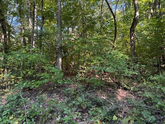 5 Mullins Cove Road Whitwell, TN 37397 - Photo 11 of 16 Gallery Image 11