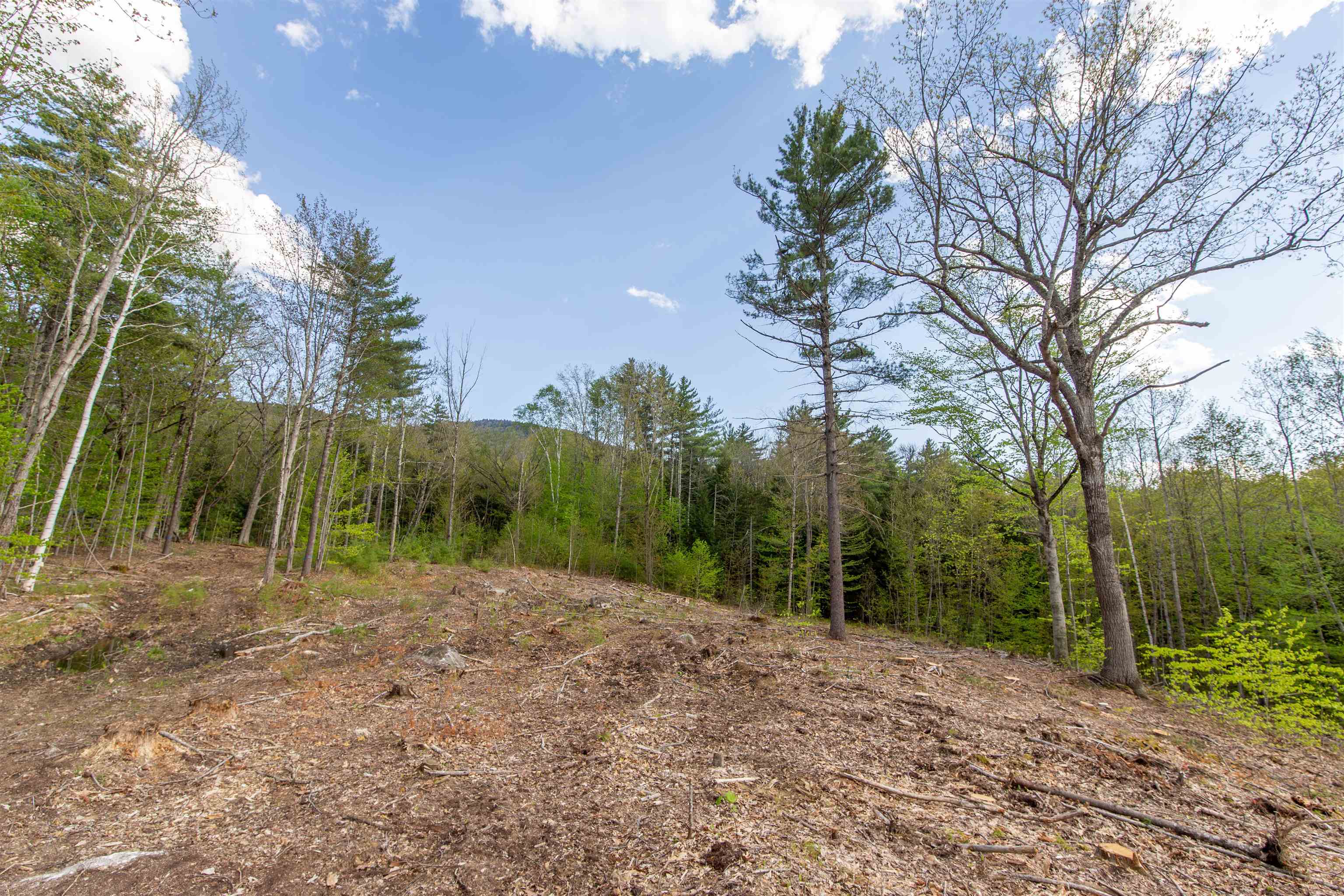 0 Taterboro Road Sandwich, NH 03227 - Photo 13 of 27