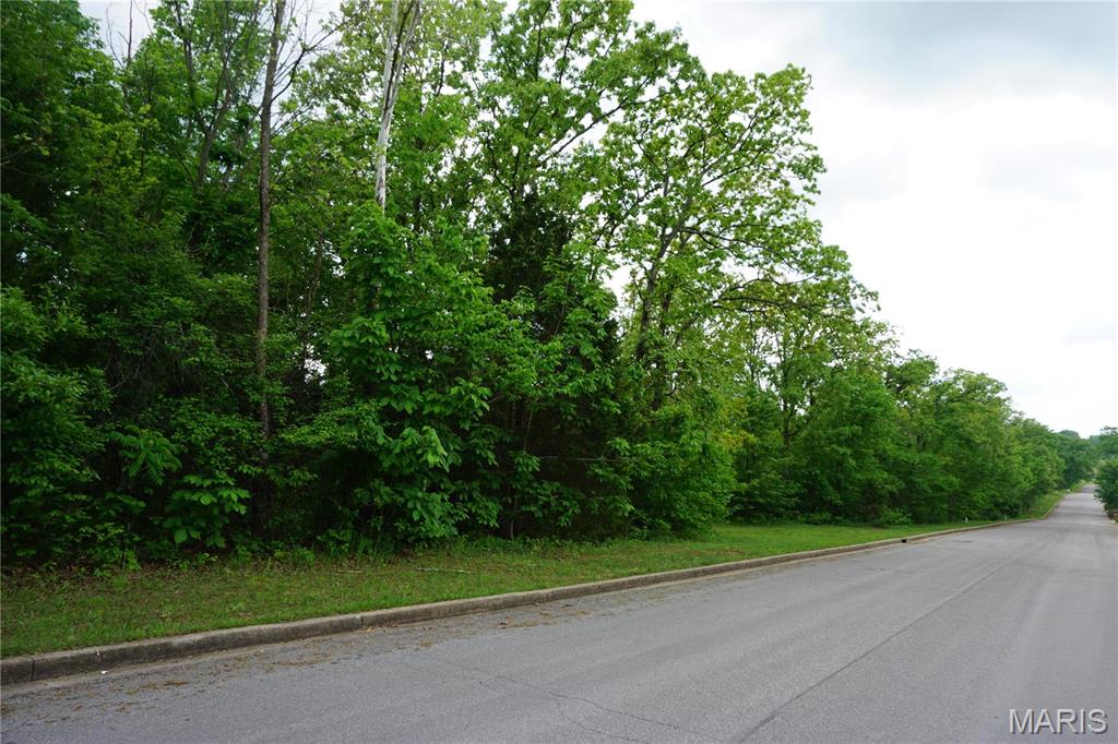 0 Columbia Avenue Rolla, MO 65401 - Photo 1 of 1