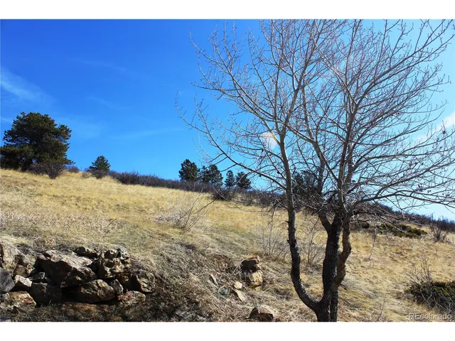 $36,000 | 11 East 7th Street, Central City, CO 80427