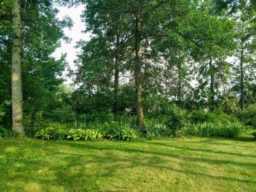 3293 Fergus Road Burt, MI 48417 - Photo 29 of 30 31386570-28.JPG