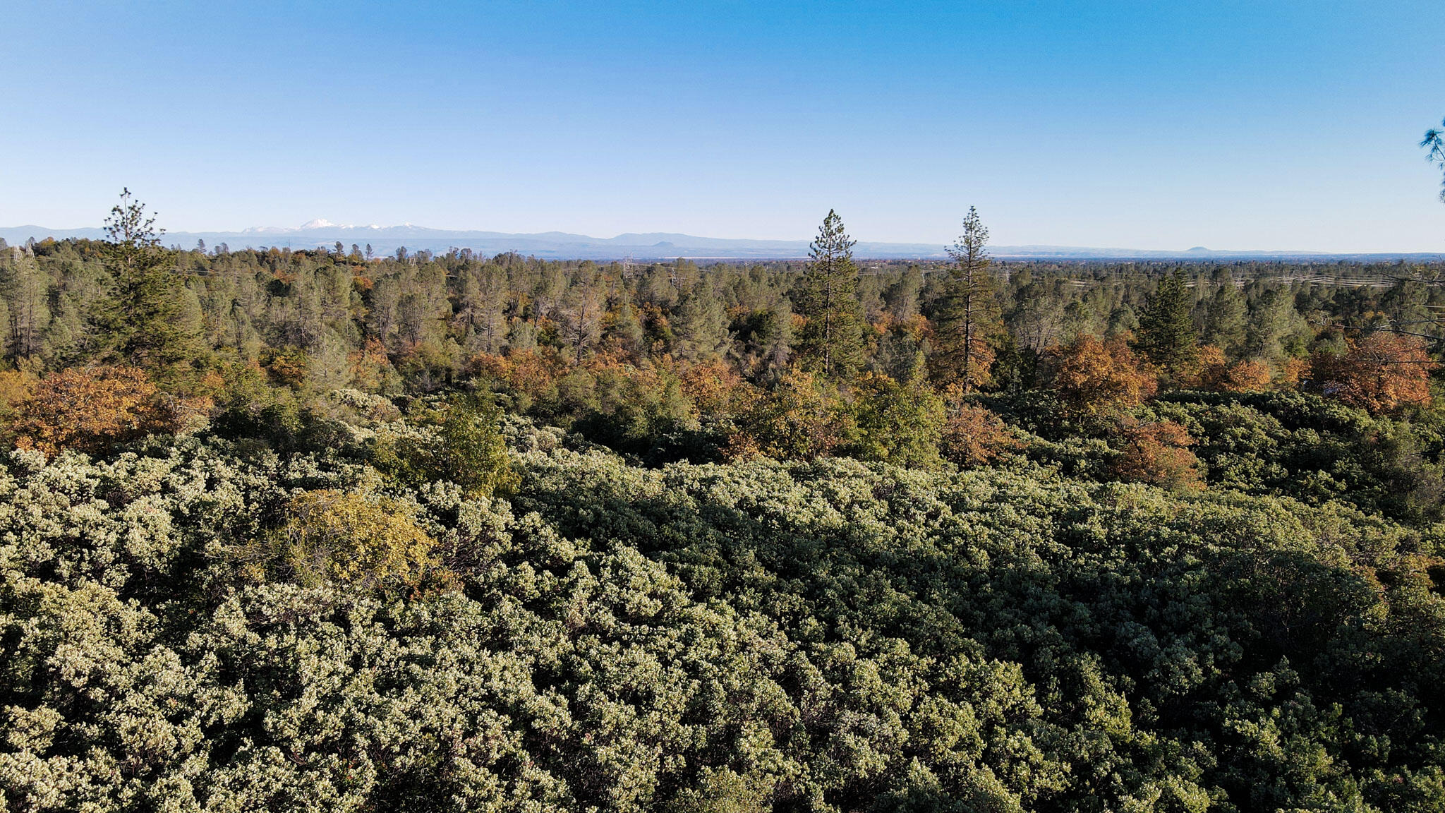 0 Old Diggins Road Redding, CA 96003 - Photo 7 of 11 DJI_0377
