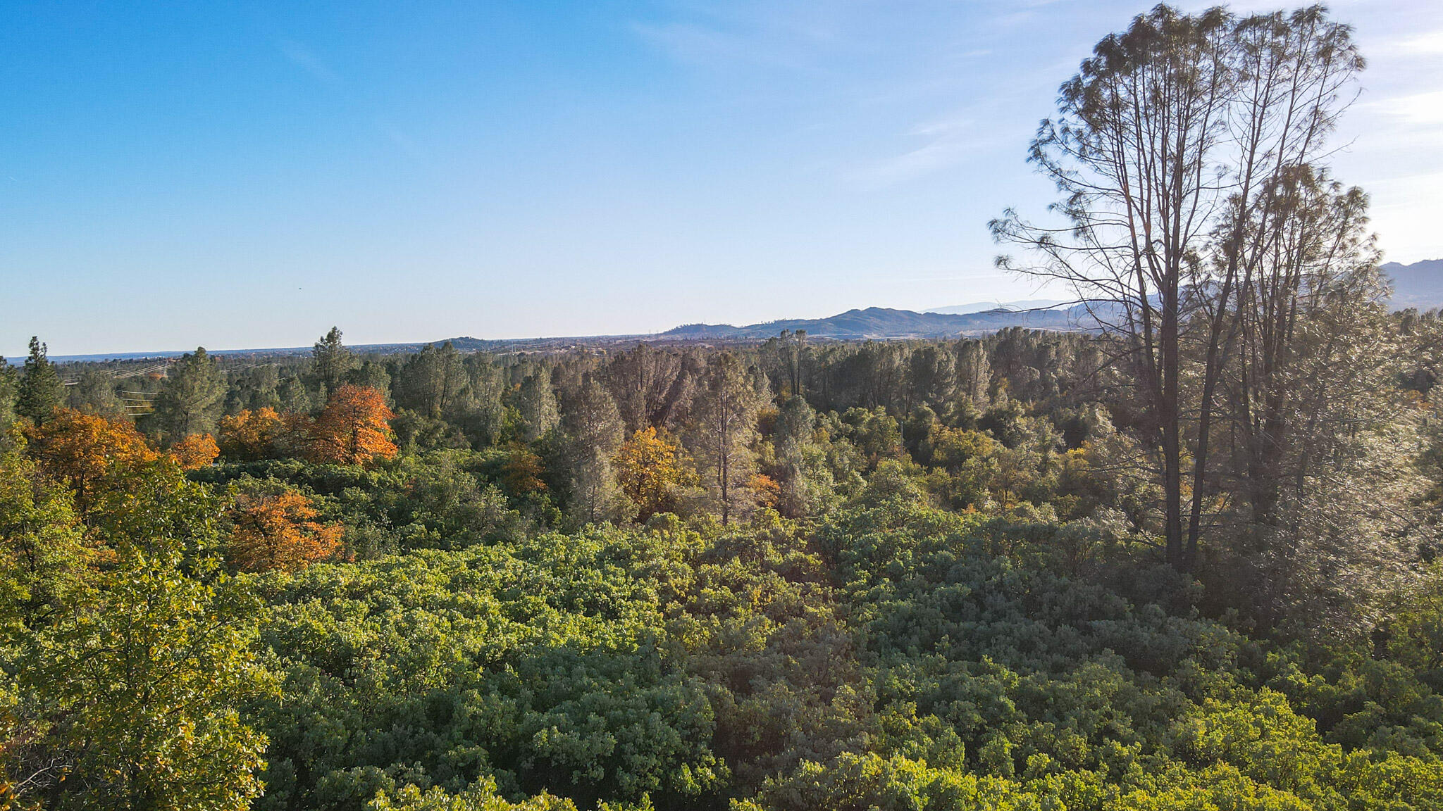 0 Old Diggins Road Redding, CA 96003 - Photo 8 of 11 DJI_0379