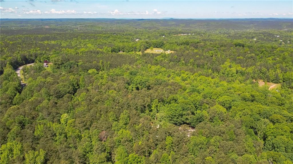 676 High Shoals Road Dallas, GA 30132 - Photo 8 of 18