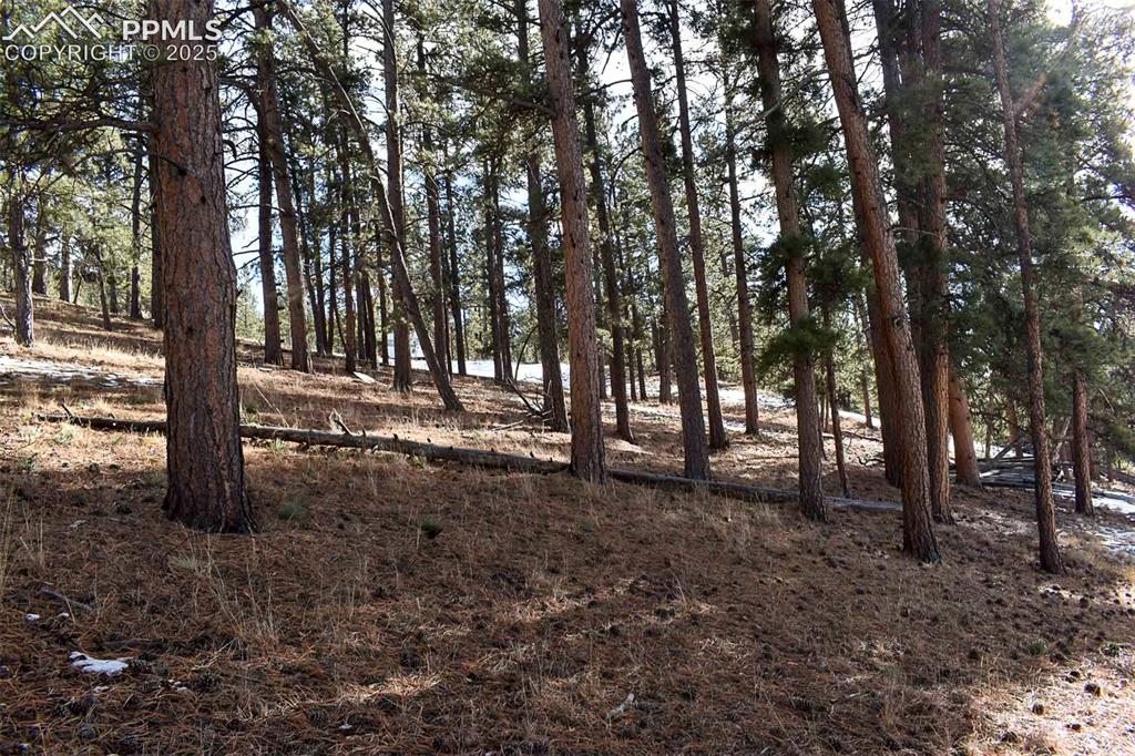 6th Street Guffey, CO 80820 - Photo 12 of 28