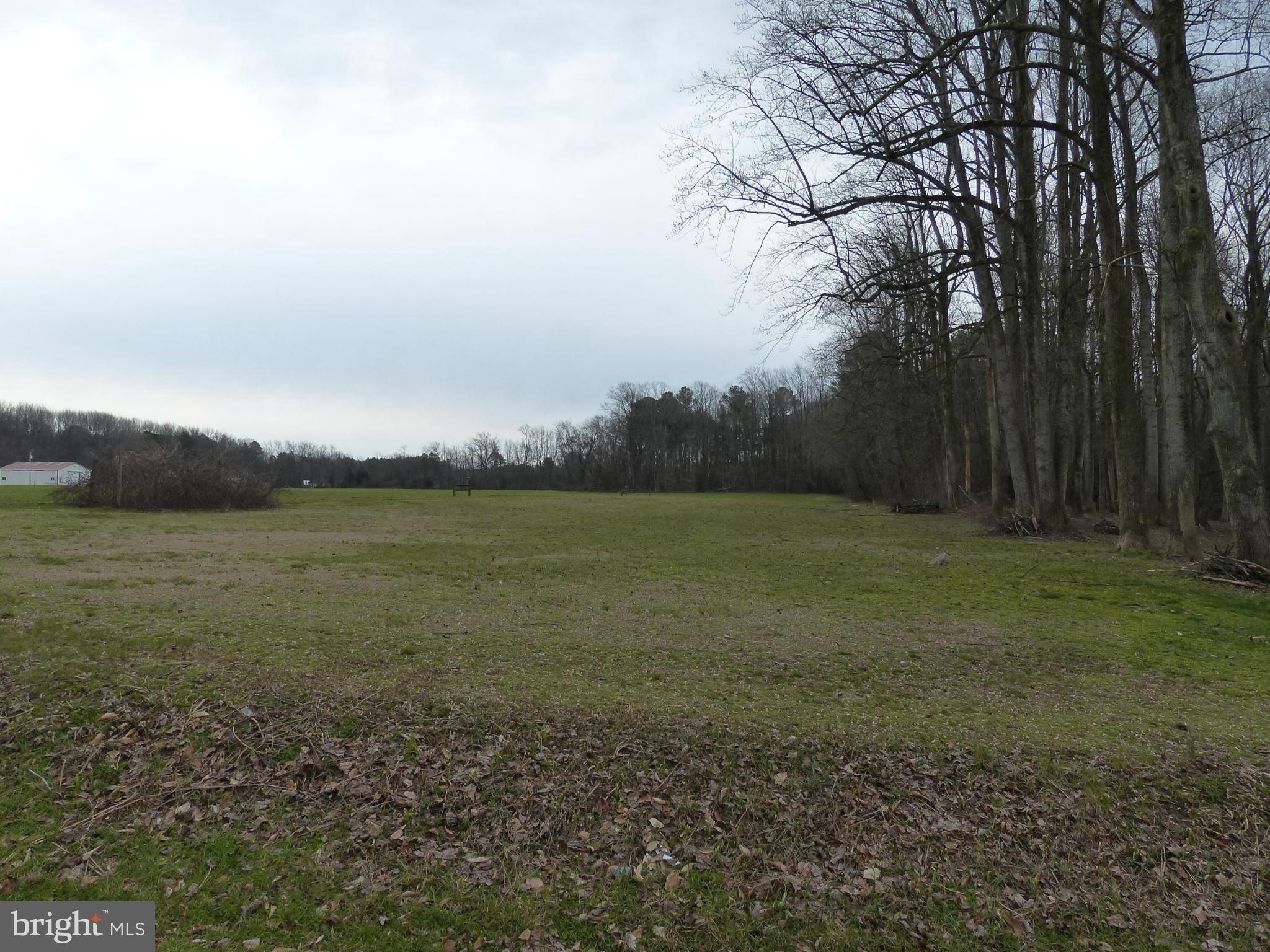 8691 Mitchell Road Denton, MD 21629 - Photo 11 of 26 View