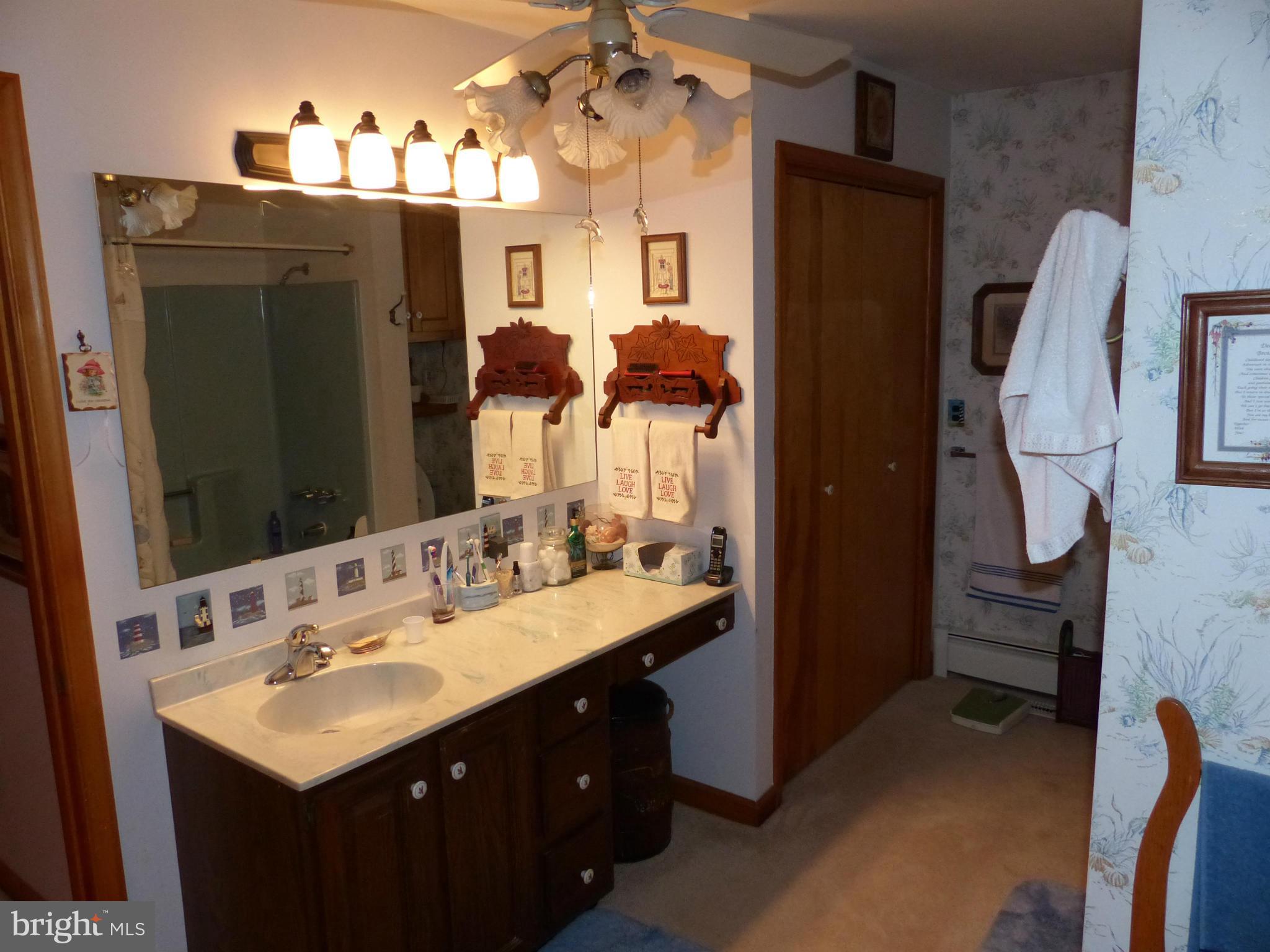8691 Mitchell Road Denton, MD 21629 - Photo 20 of 26 Bath (Master)