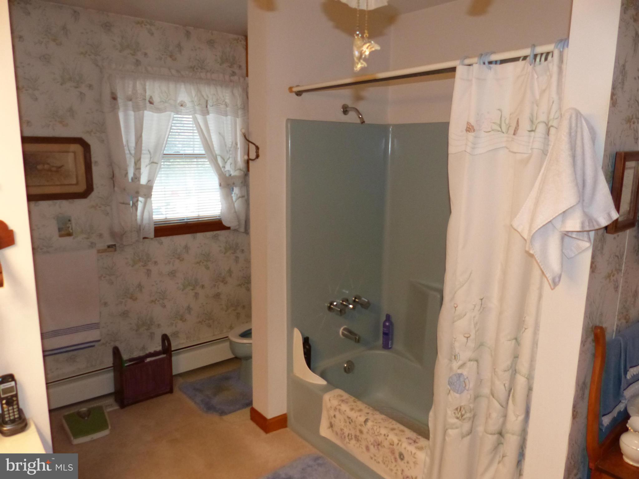 8691 Mitchell Road Denton, MD 21629 - Photo 23 of 26 Bath